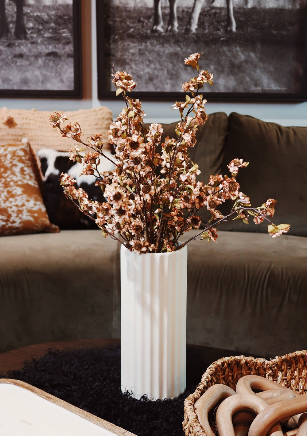 Brown & White Daisy Bush