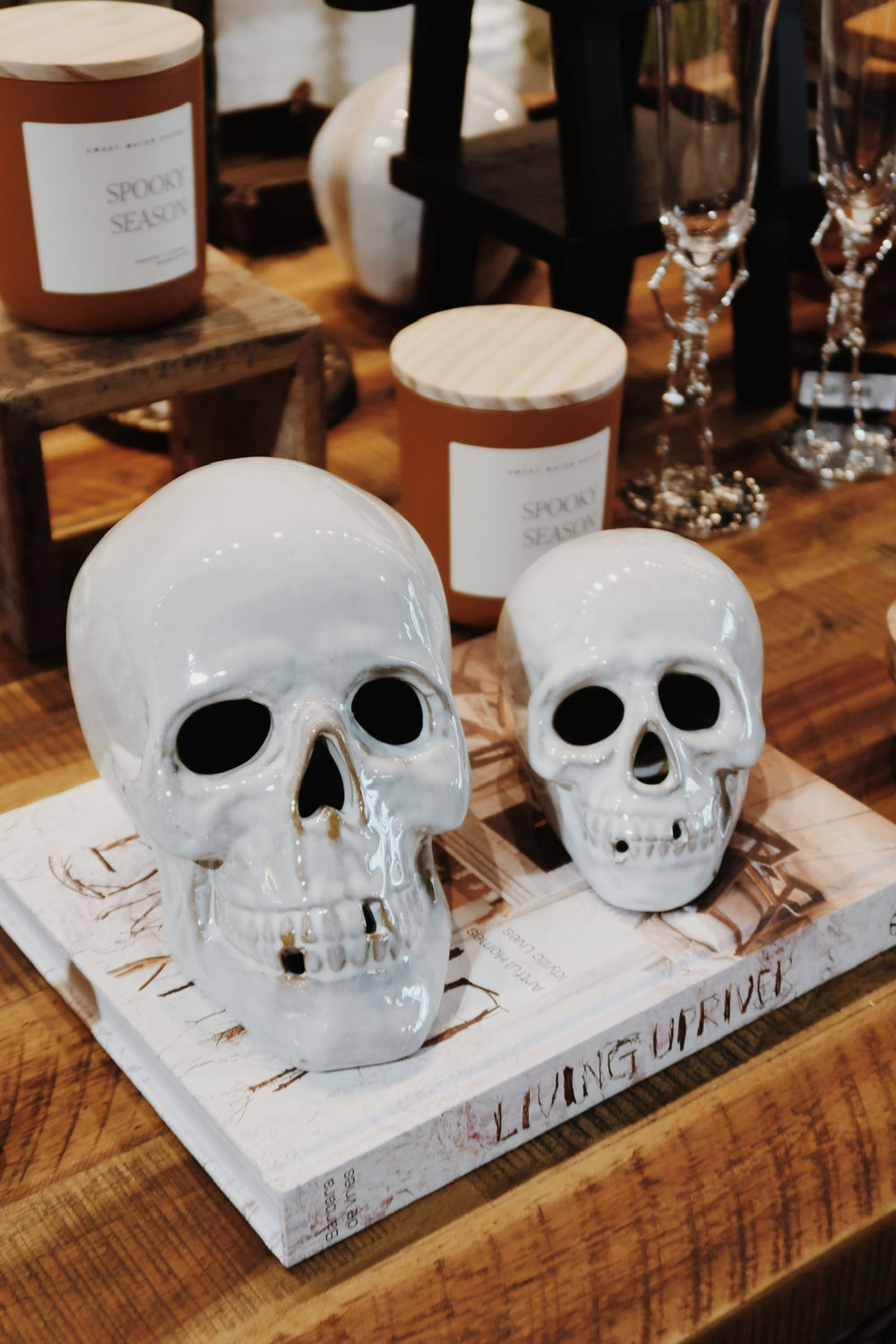Glossy Porcelain Skull - 2 Sizes