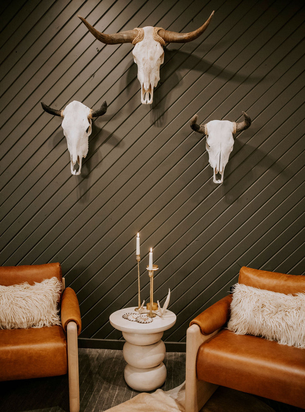 Cow Skull with Jute Wrapped Horns