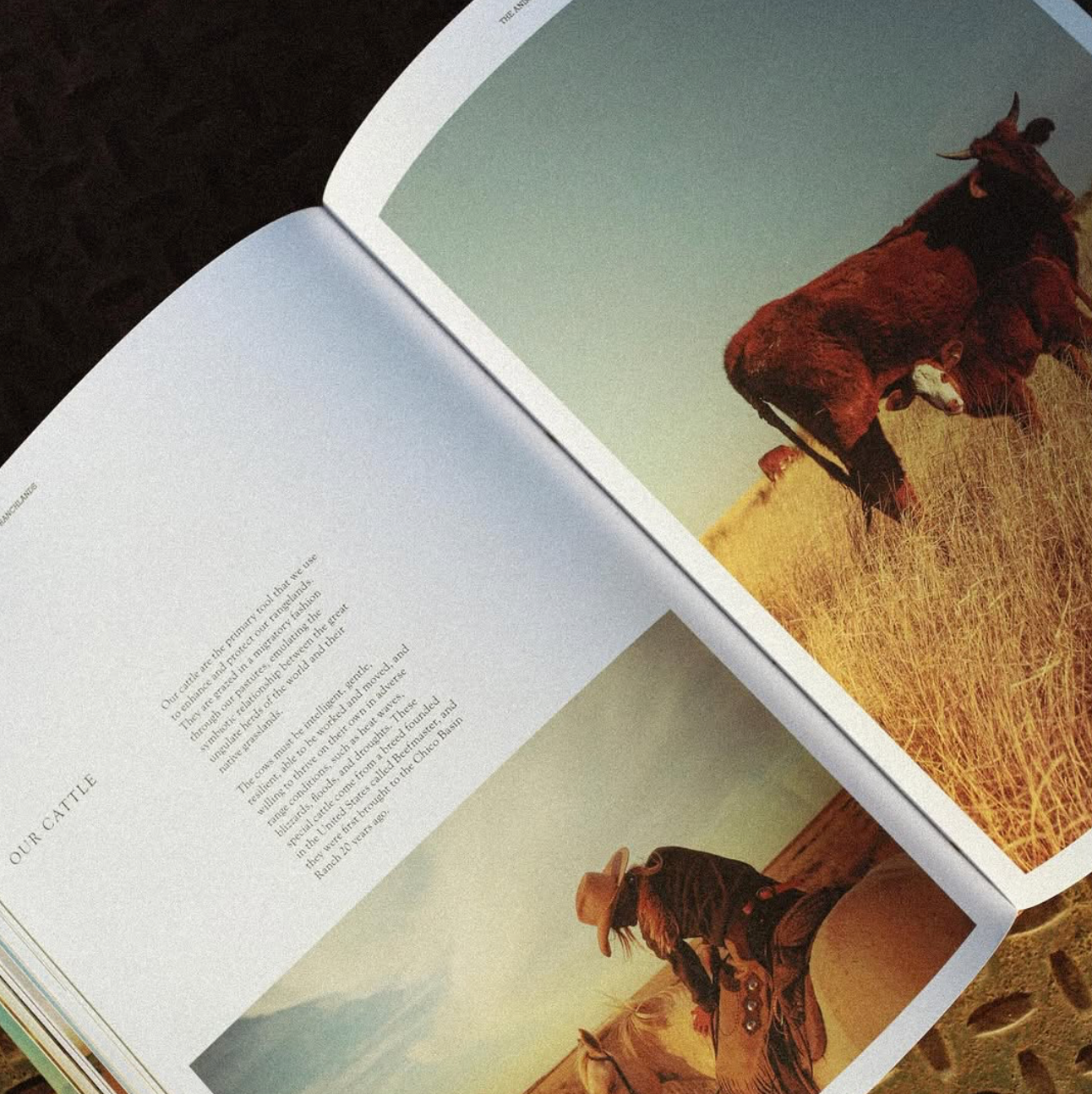 Ranchlands: From the Land, For the Land Book