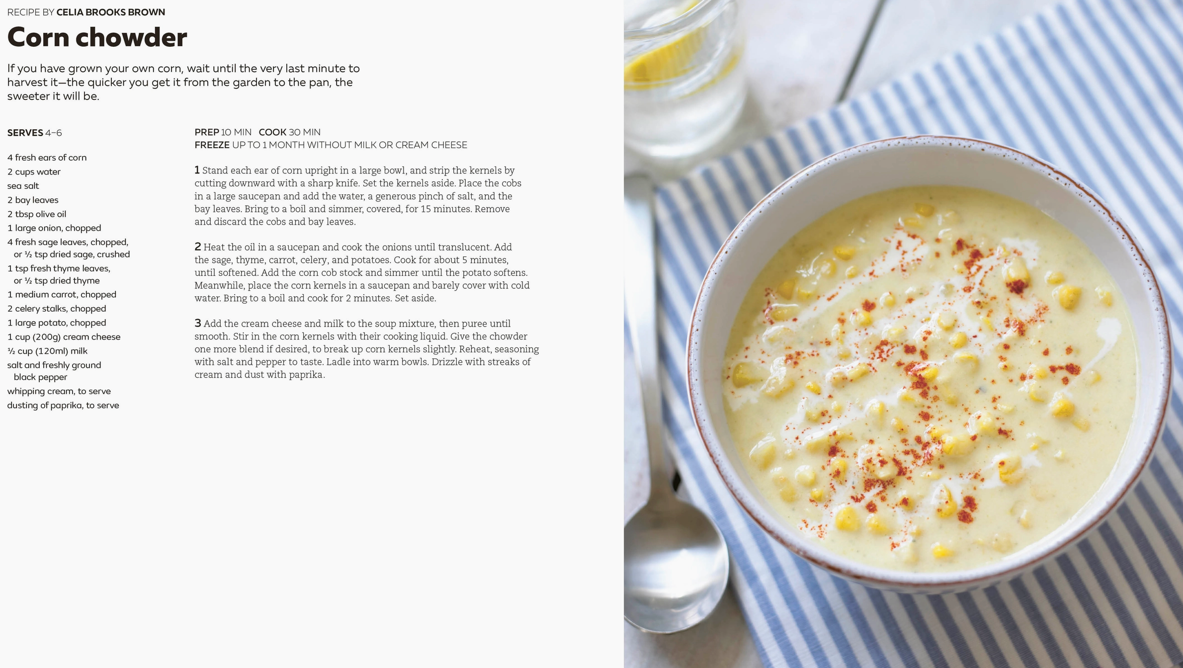 The Soup Book