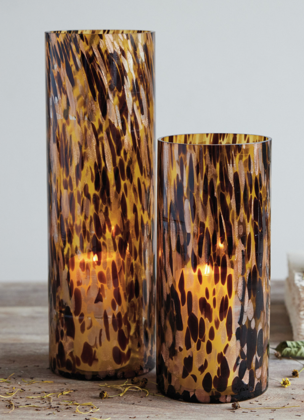Tortoise Cylinder Hurricane- 2 Sizes