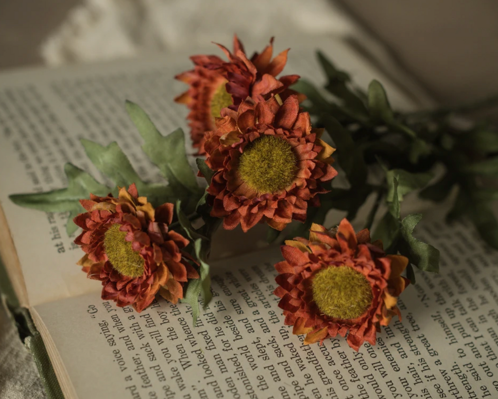 Burnt Orange Strawflower Pick