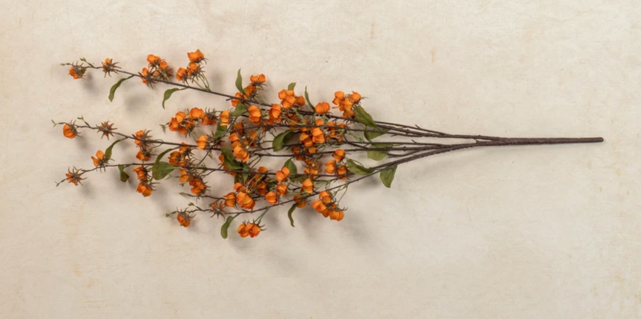 Wild Lantern Bush Stem