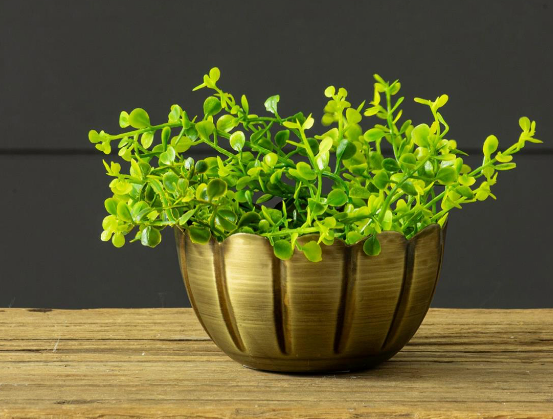 Scallop Edge Antiqued Brass Mini Bowl