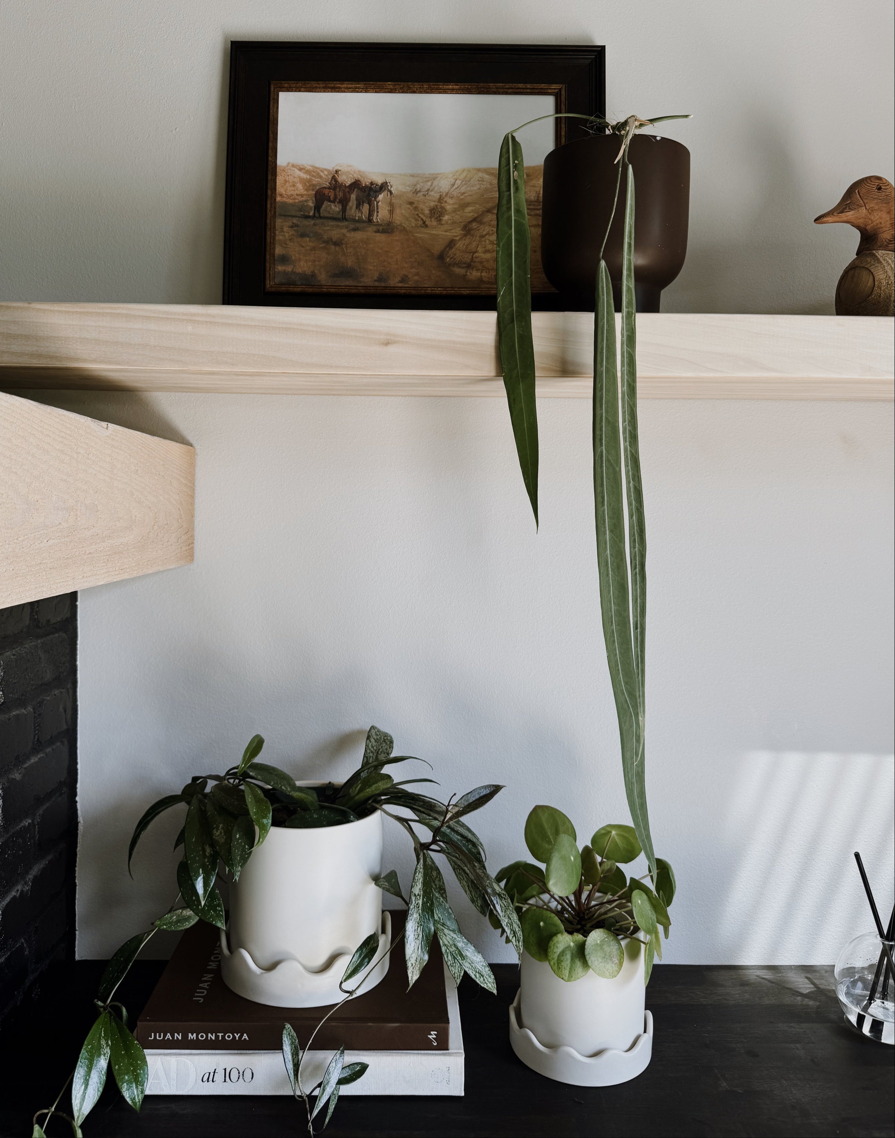 Ceramic Planter w/Wavy Saucer - 2 Sizes