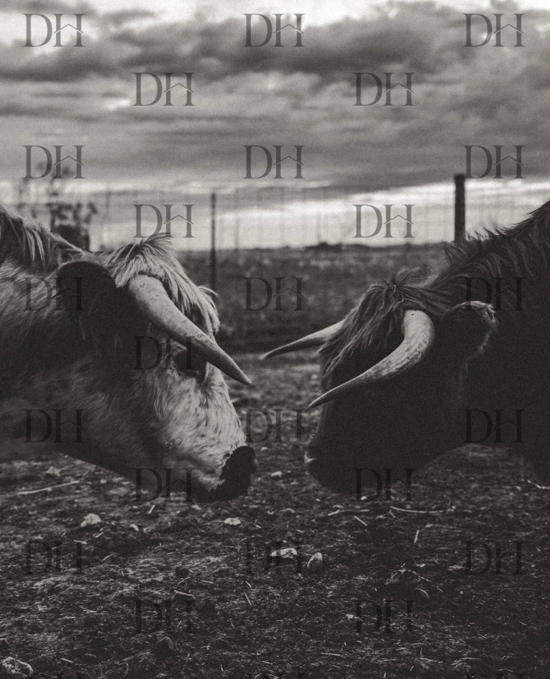 PRE-ORDER: "The Duel" Print by Cole DeBoer