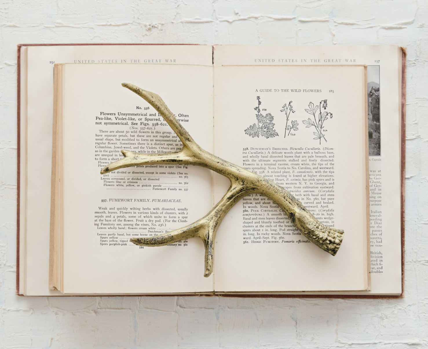 Antiqued Gold Cast Iron Antler Decor
