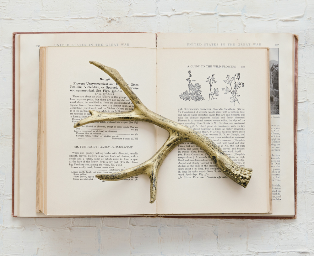 Antiqued Gold Cast Iron Antler Decor