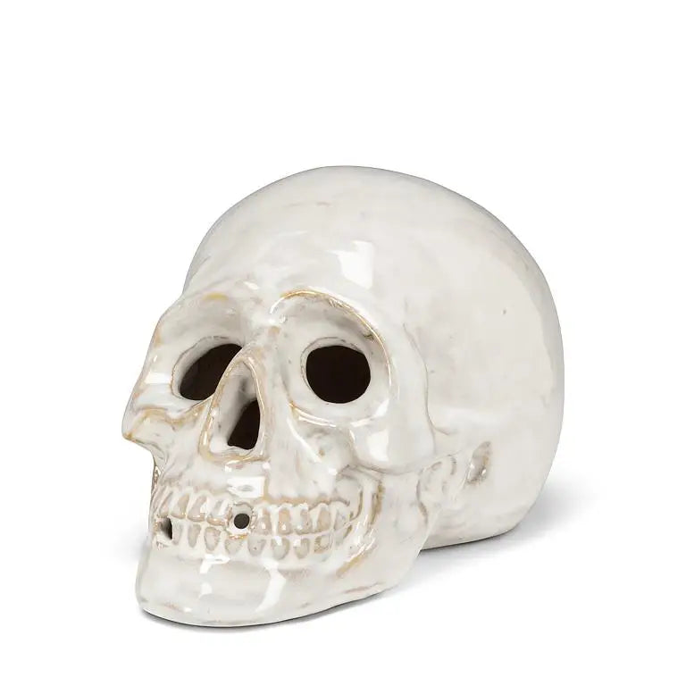 Glossy Porcelain Skull - 2 Sizes