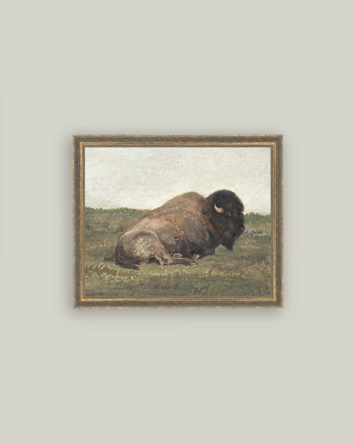 Resting Bison Framed Art - 2 Sizes