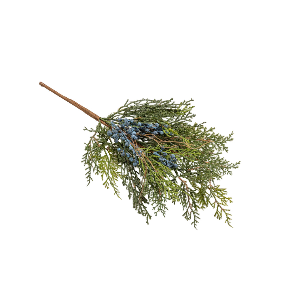 Cedar & Blueberries Pick