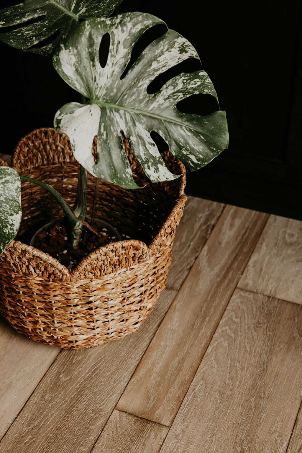 Braided Bankuan Scalloped Edged Baskets - 3 Sizes
