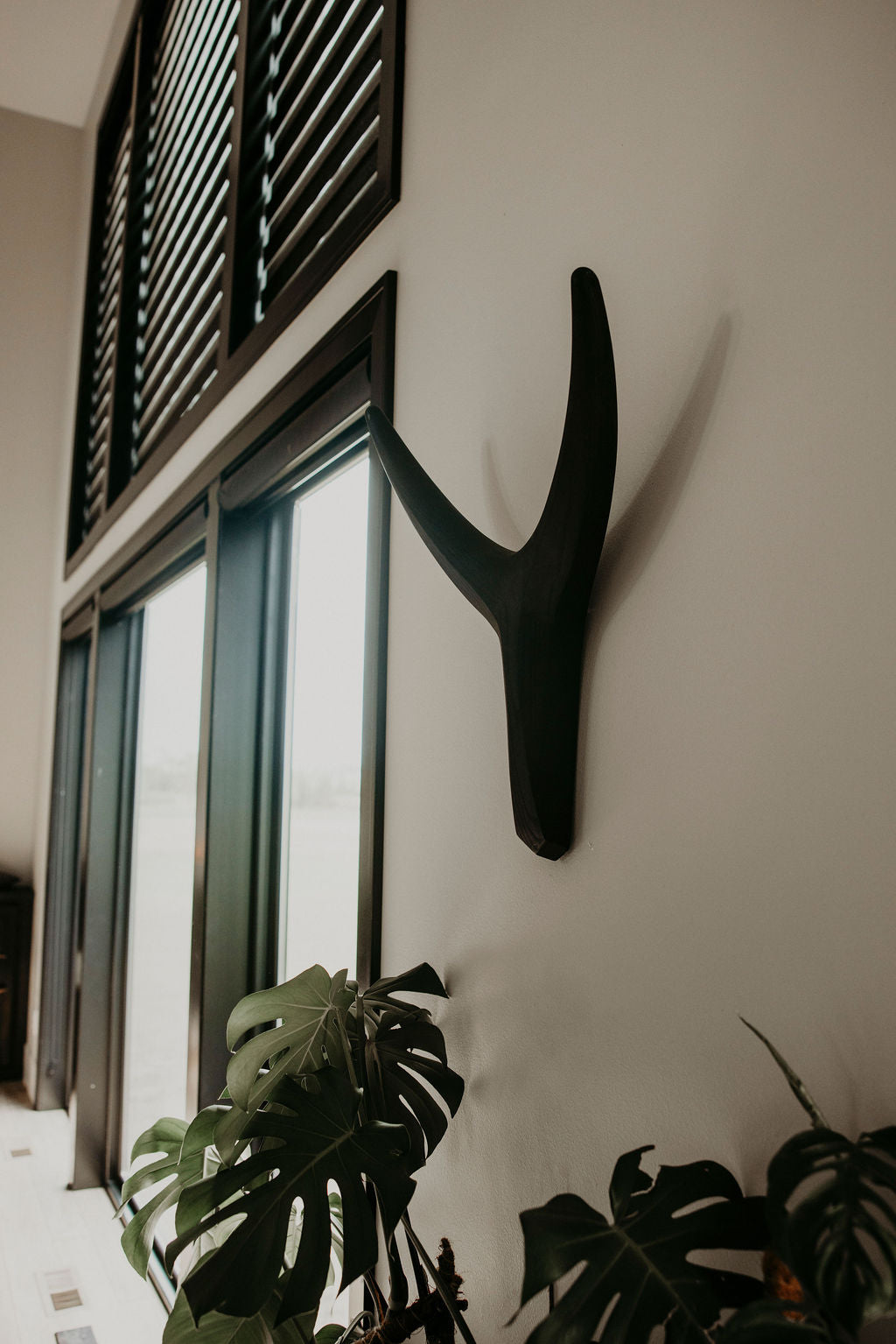 Nguni Head Iroko Wall Decor