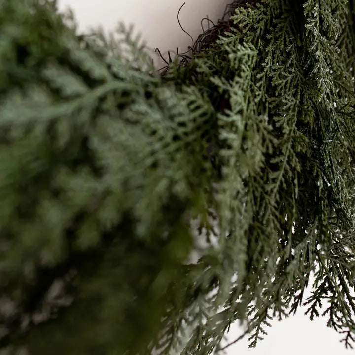 Cypress Pine Wreath - 24"
