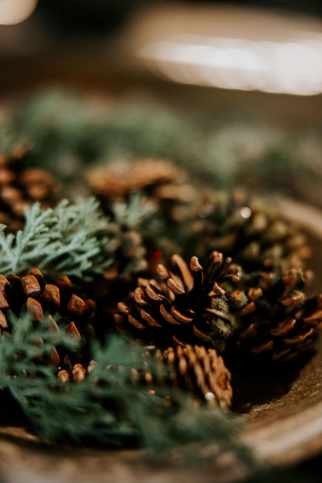 Sequined Moss Pinecones