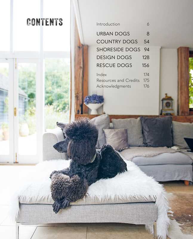 Cool Dogs, Cool Homes: Living In Style with Your Pet Pooch
