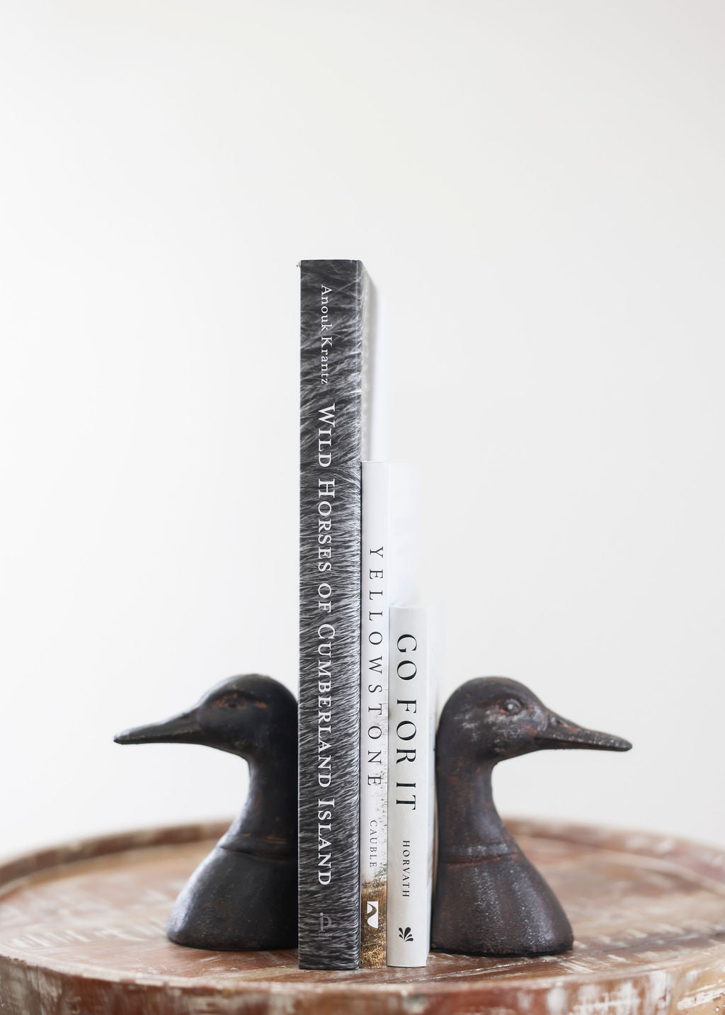Rustic Duck Head Bookends