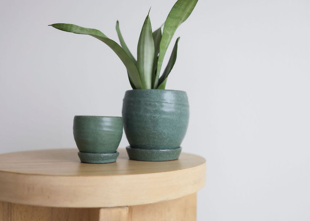 Rustic Green Planter & Saucer - 2 Sizes
