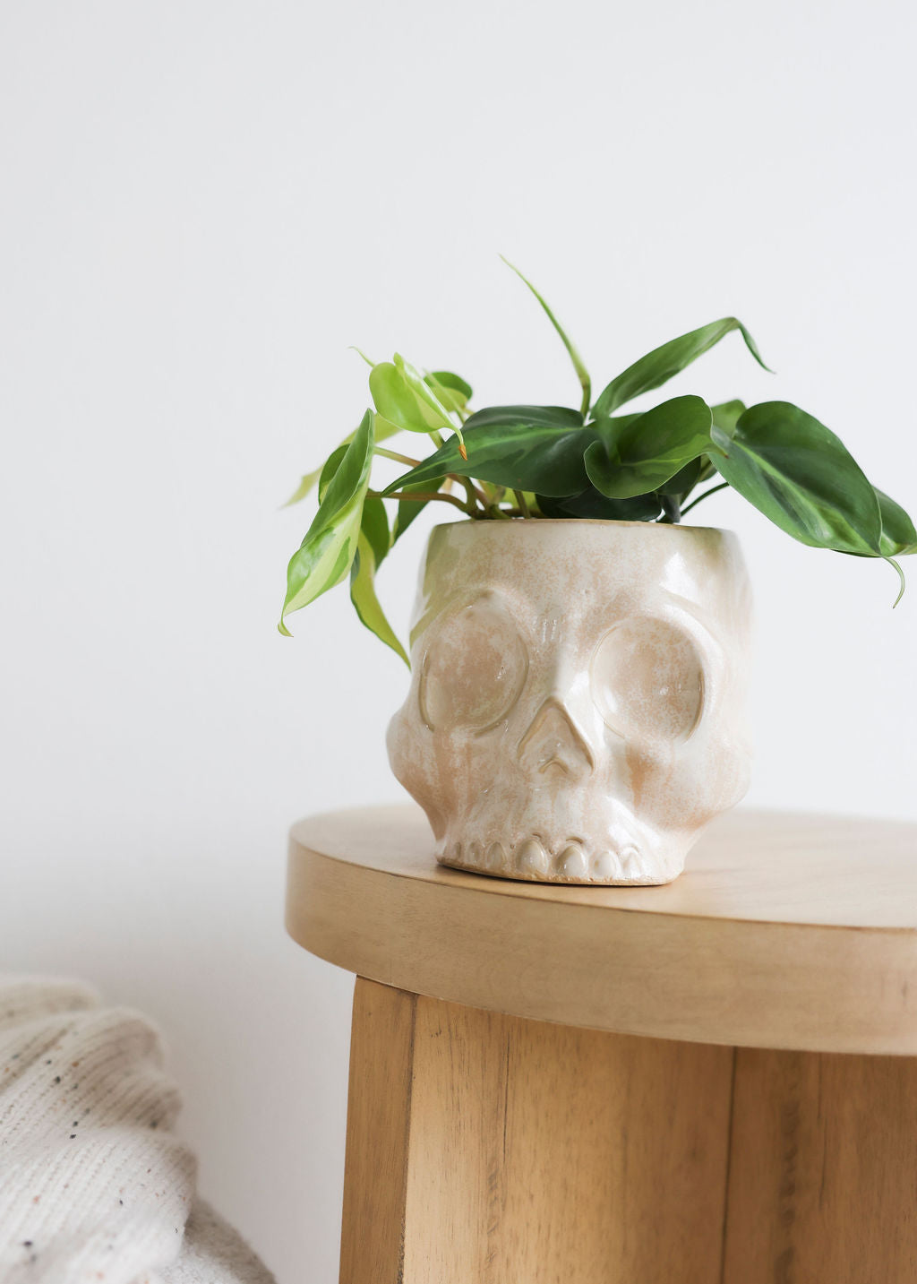 Glazed Skull Pot - 2 Sizes