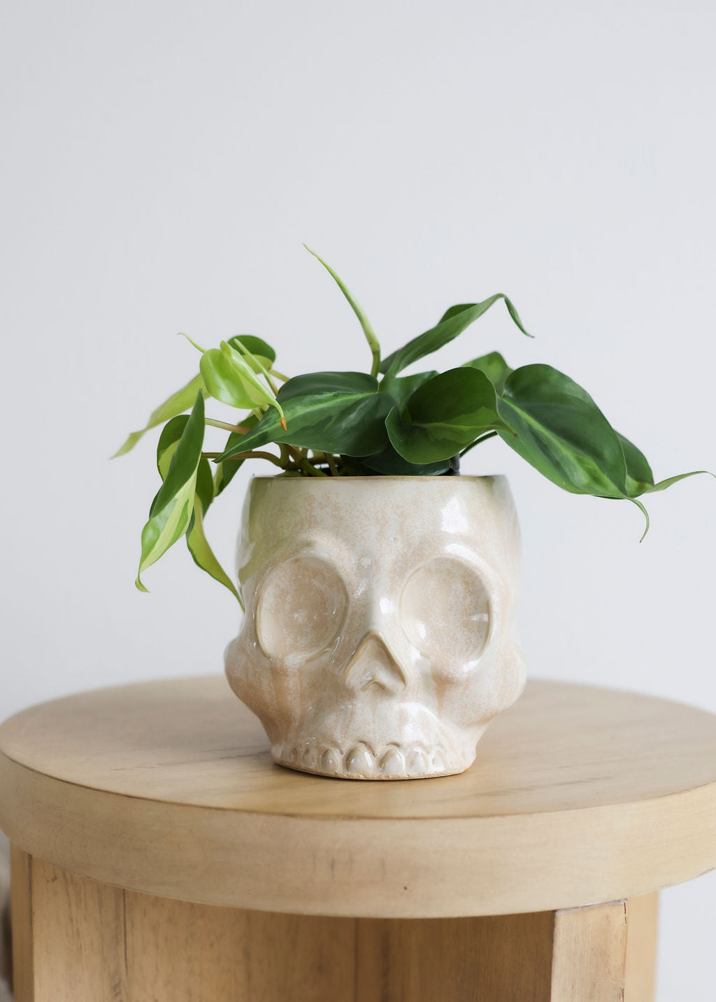 Glazed Skull Pot - 2 Sizes