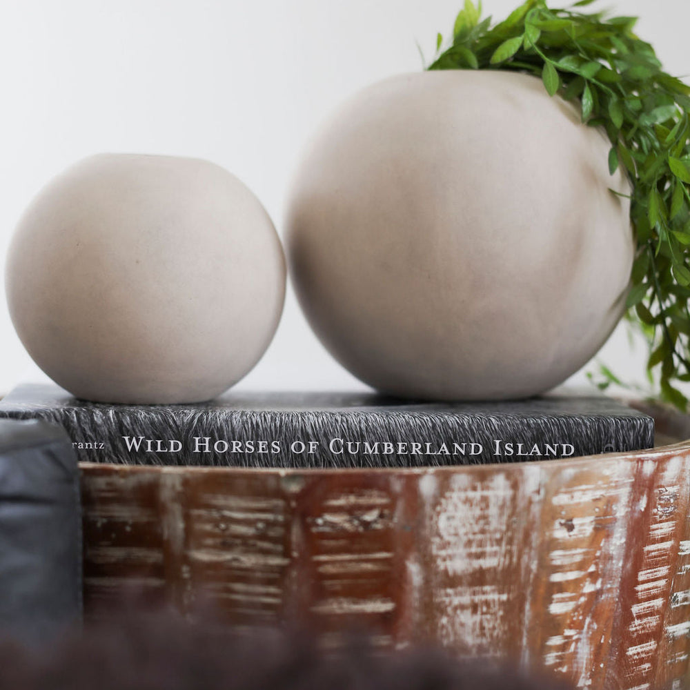 Wild Horses of Cumberland Island