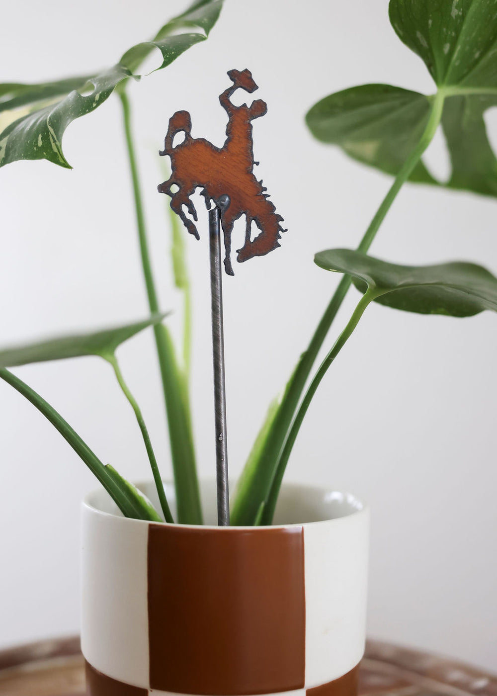 Handcrafted Iron Plant Stake - 5 Styles