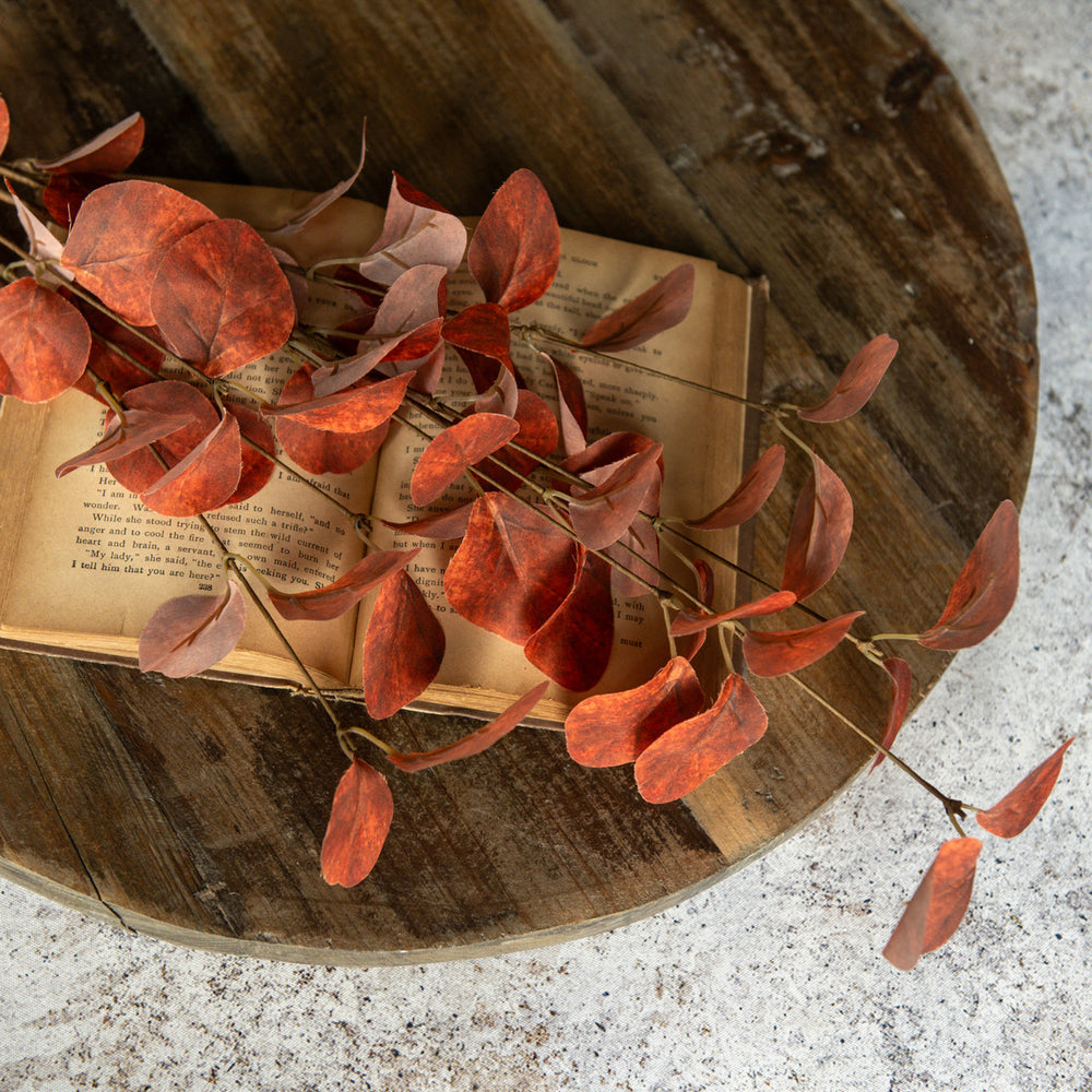 Rust Eucalyptus Spray