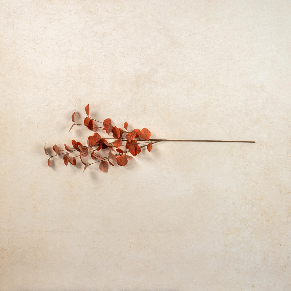 Rust Eucalyptus Spray