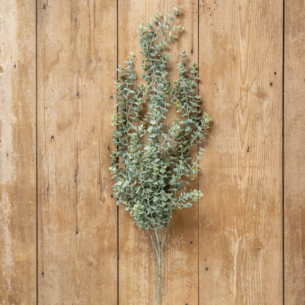 Draping Eucalyptus Bush