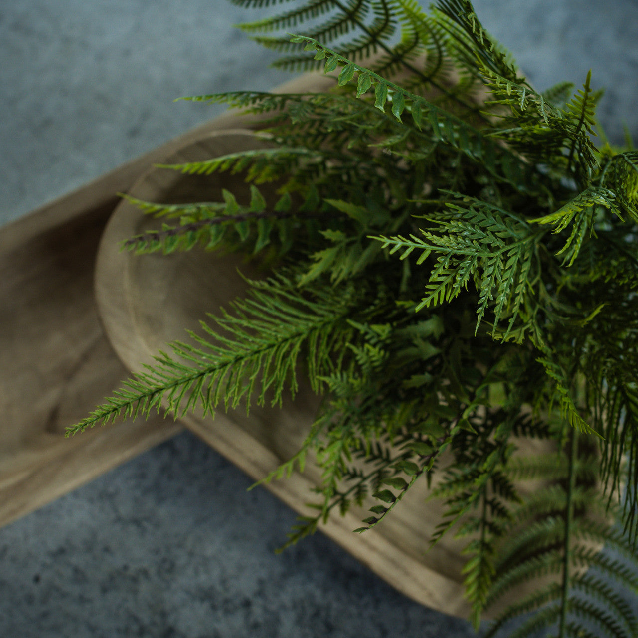 Mixed Fern Pick