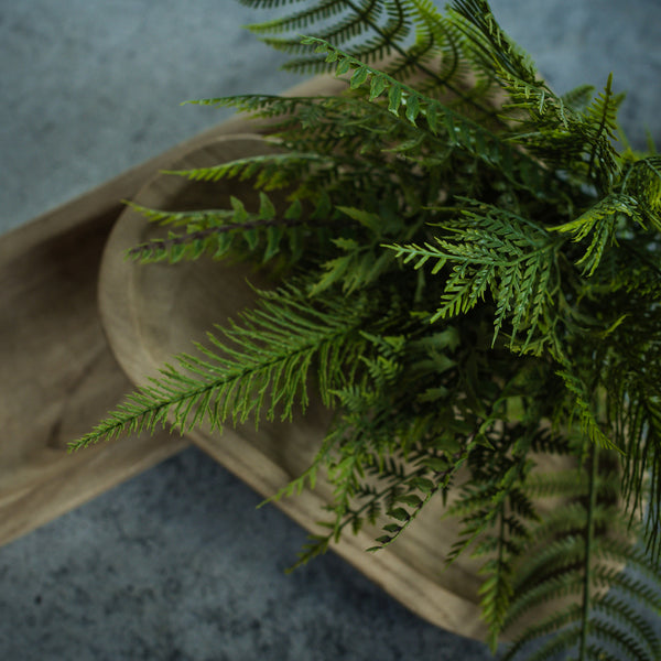 Mixed Fern Pick
