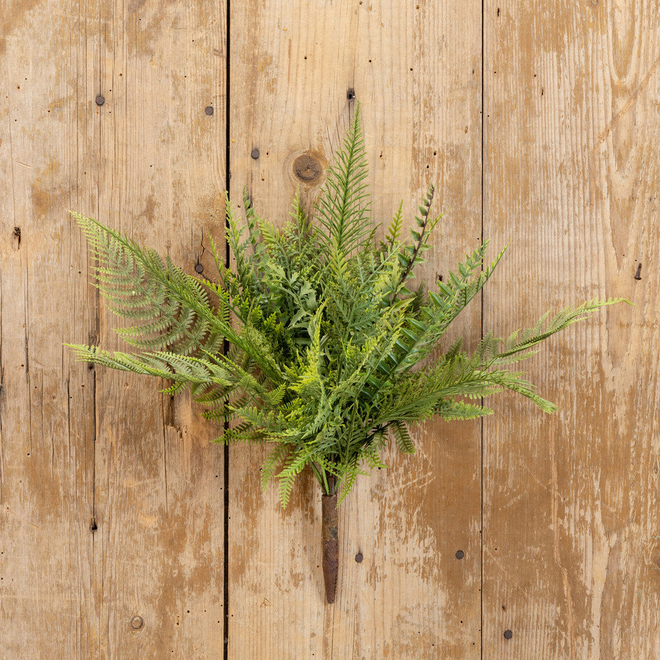 Mixed Fern Pick