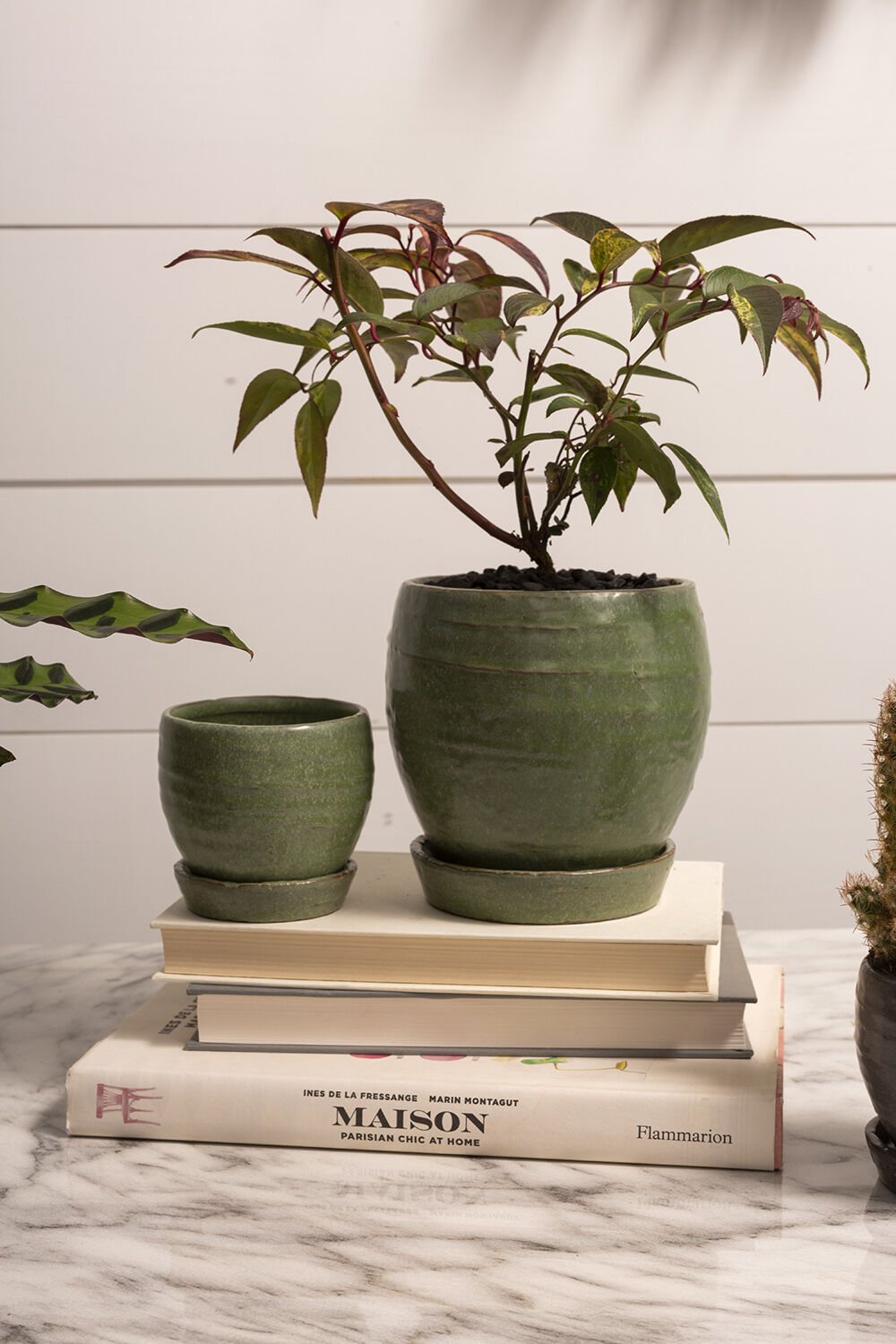 Rustic Green Planter & Saucer - 2 Sizes