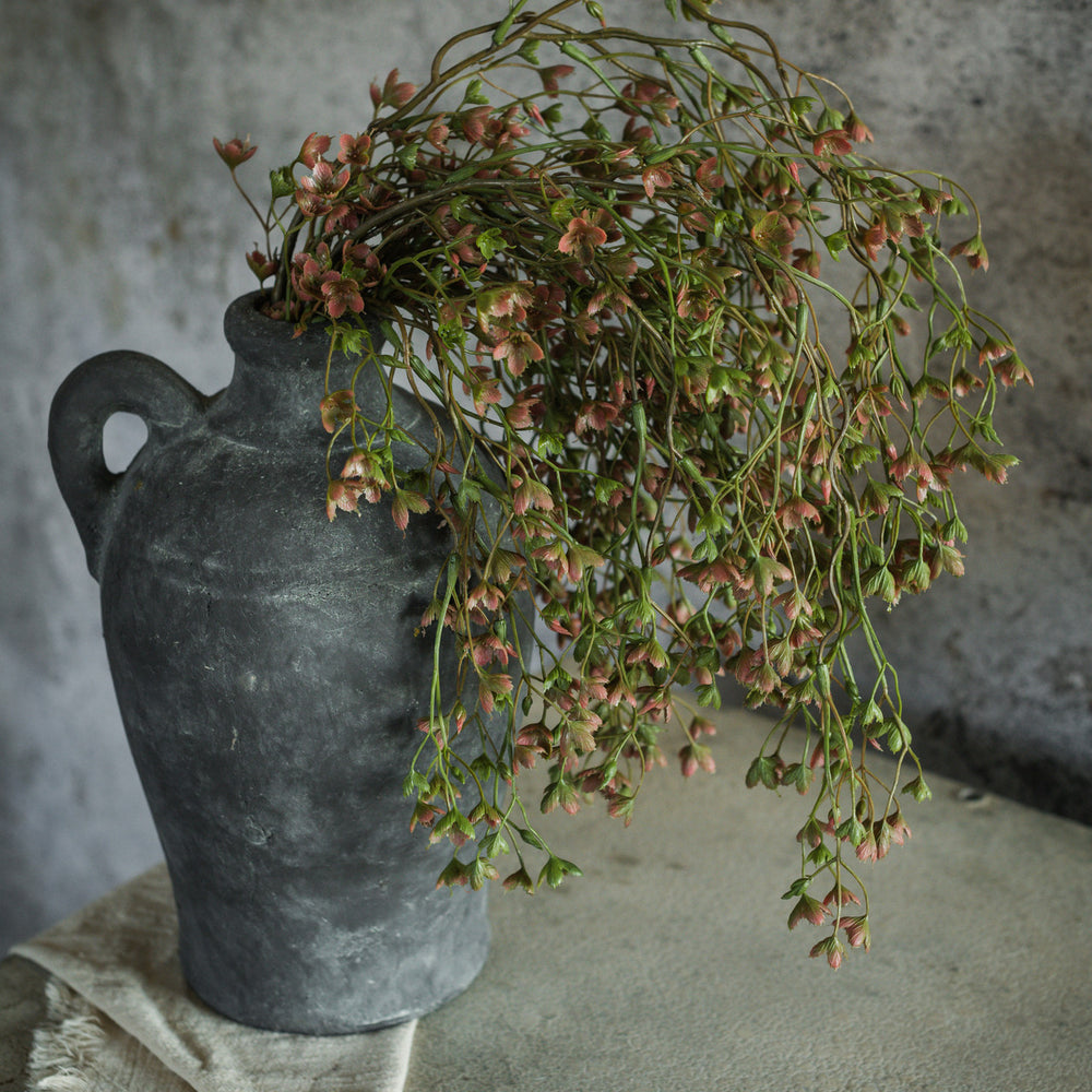 Helleborus Hanging Spray