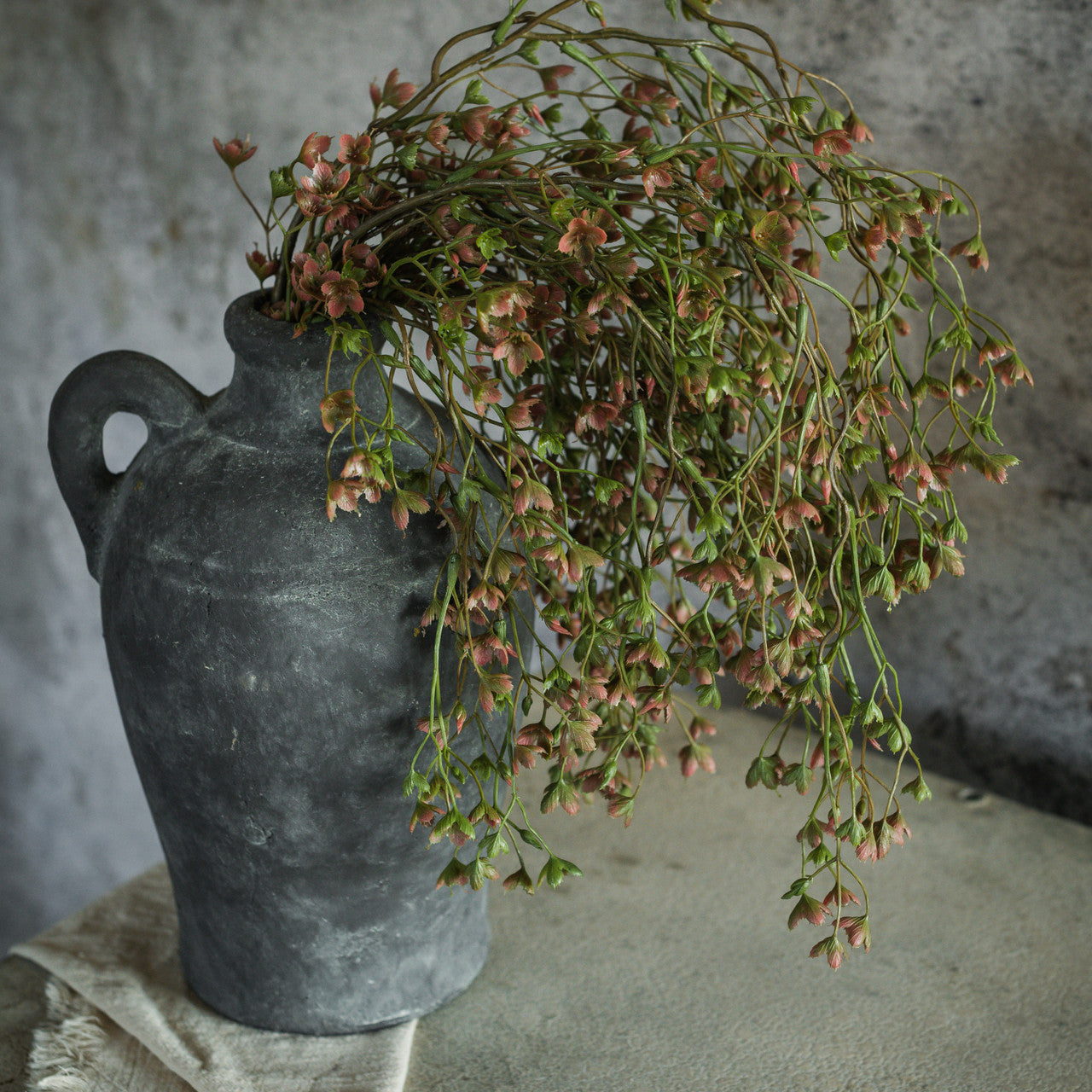 Helleborus Hanging Spray
