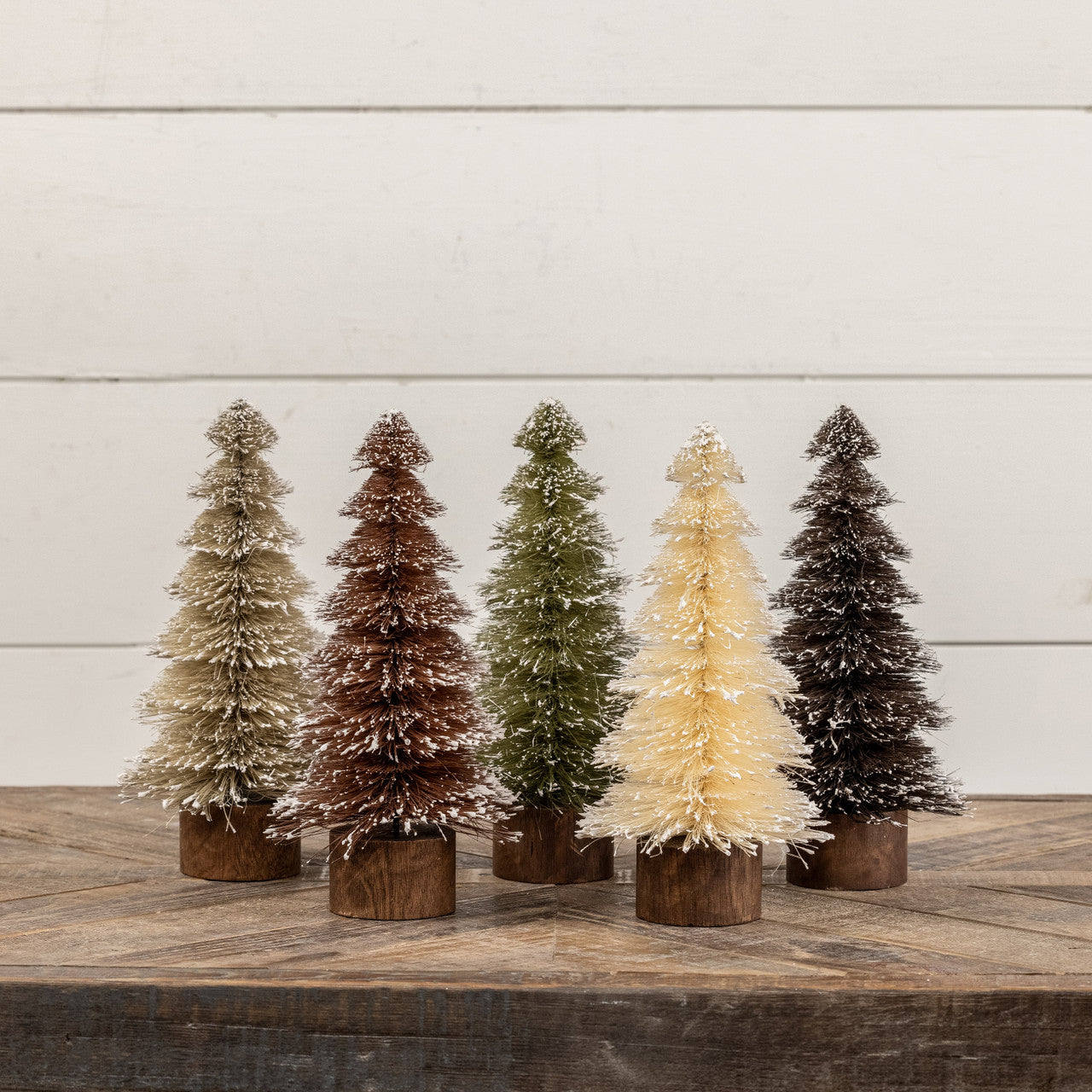 Snow Dusted Bottlebrush Trees - 2 Sizes