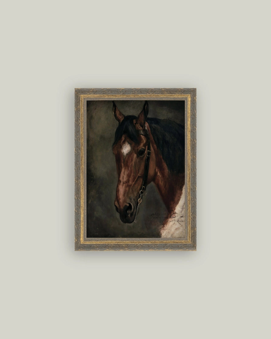 Horse Portrait on Canvas Framed Artwork - 3 Sizes