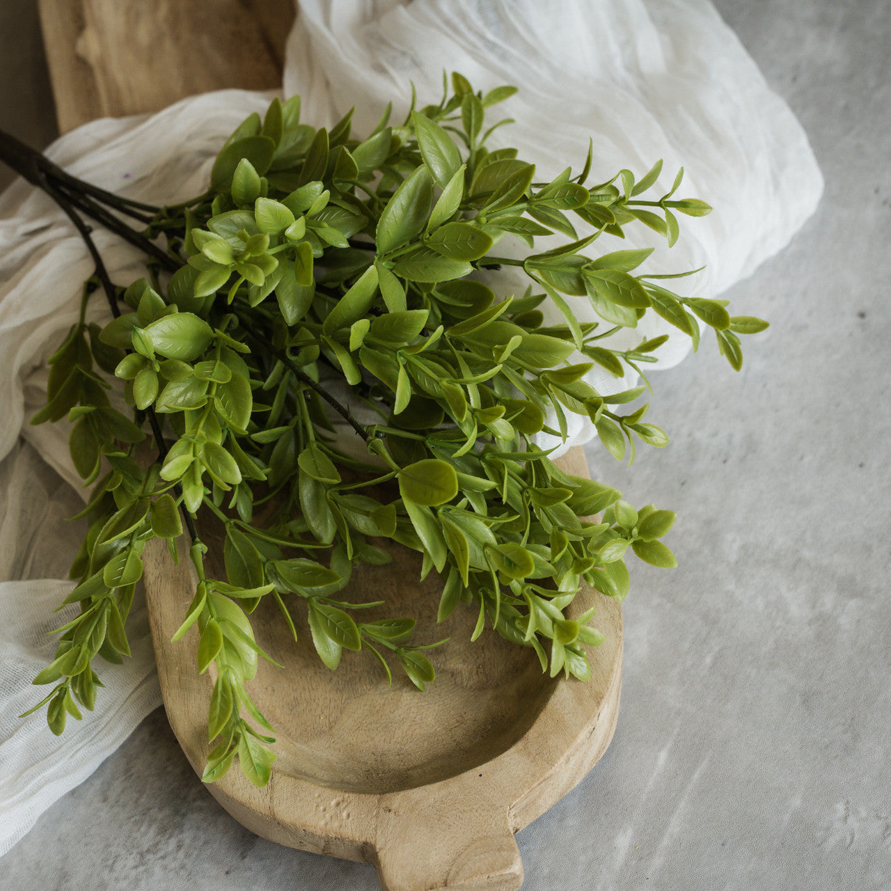 Ruscus Leaf Bush - 2 Styles