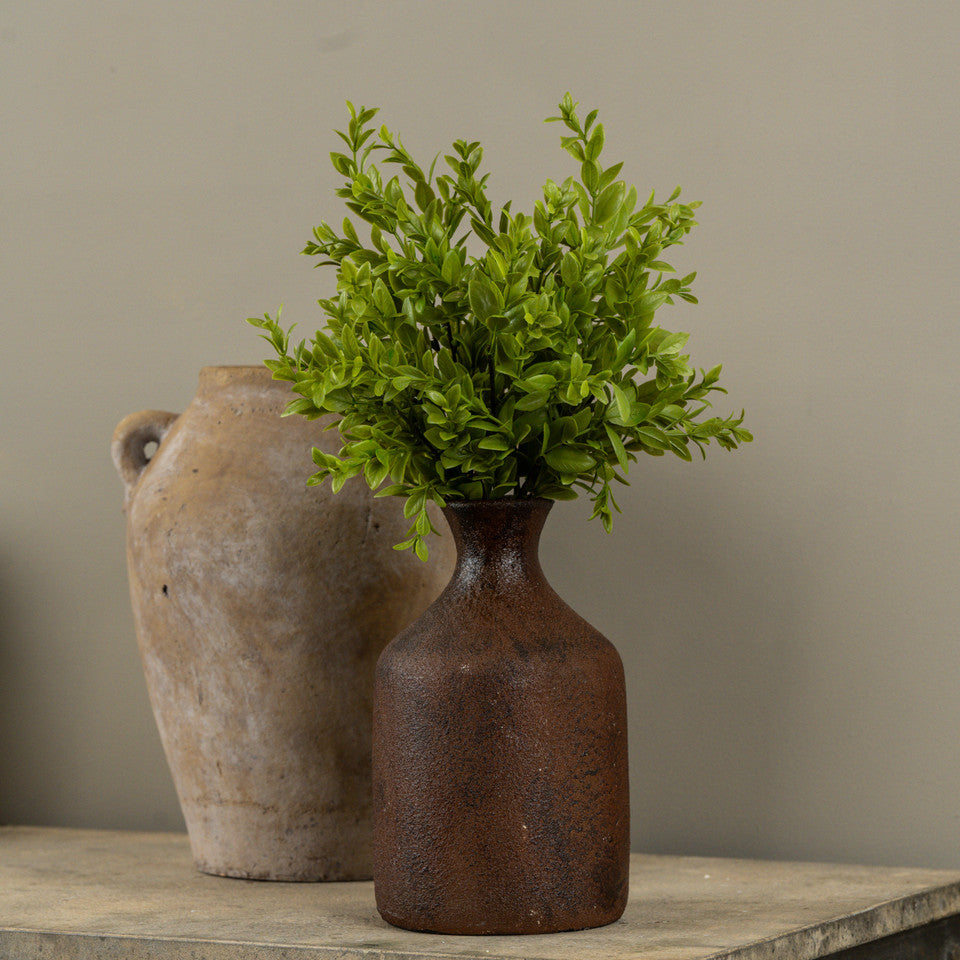 Ruscus Leaf Bush - 2 Styles