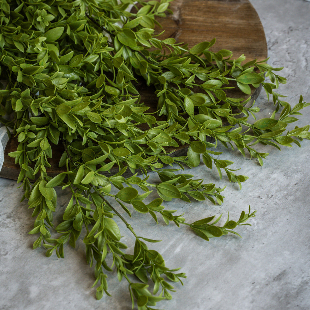 Ruscus Leaf Bush - 2 Styles