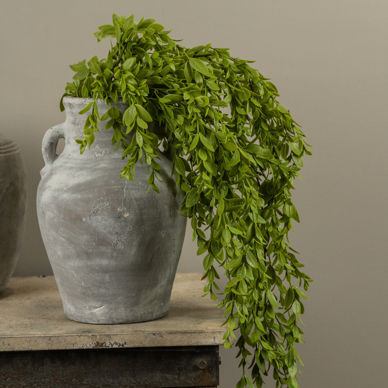 Ruscus Leaf Bush - 2 Styles