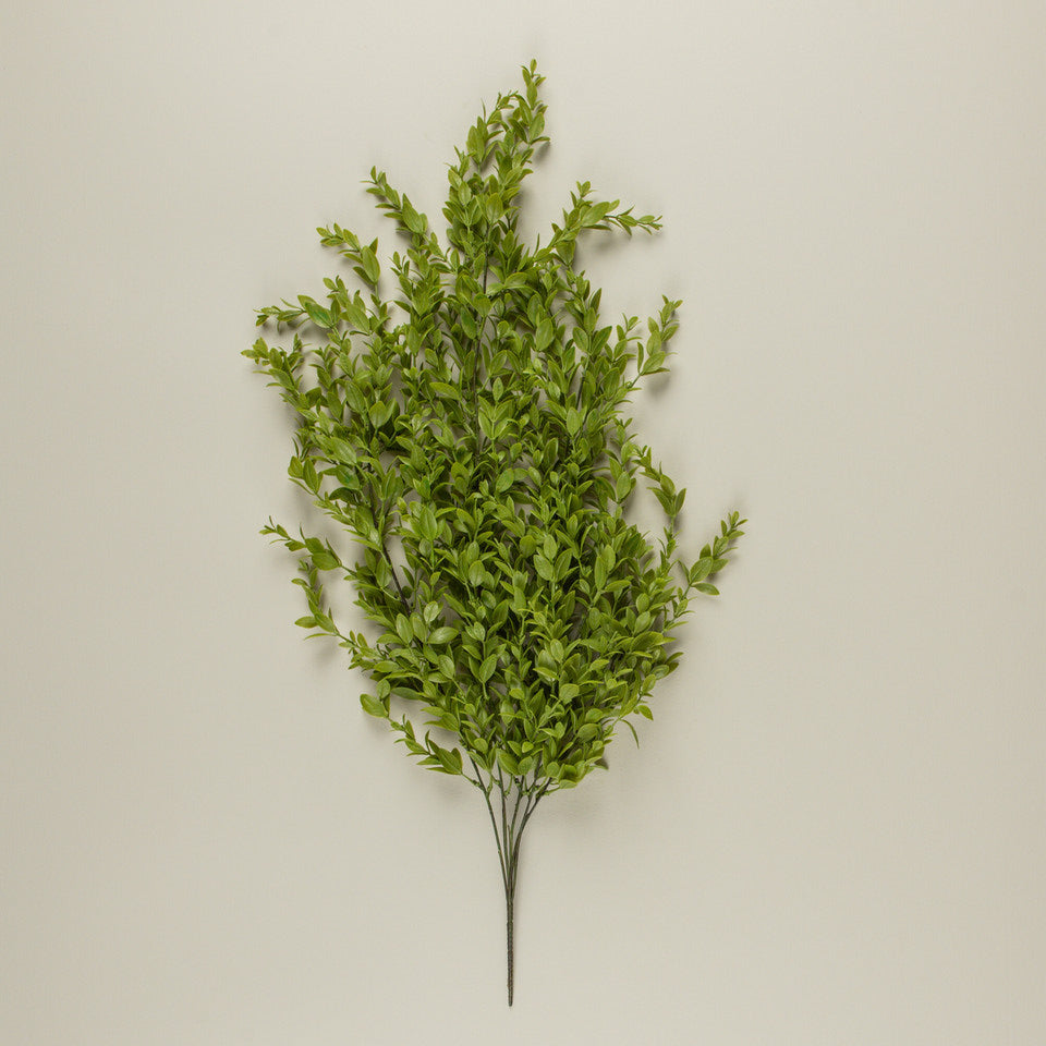 Ruscus Leaf Bush - 2 Styles