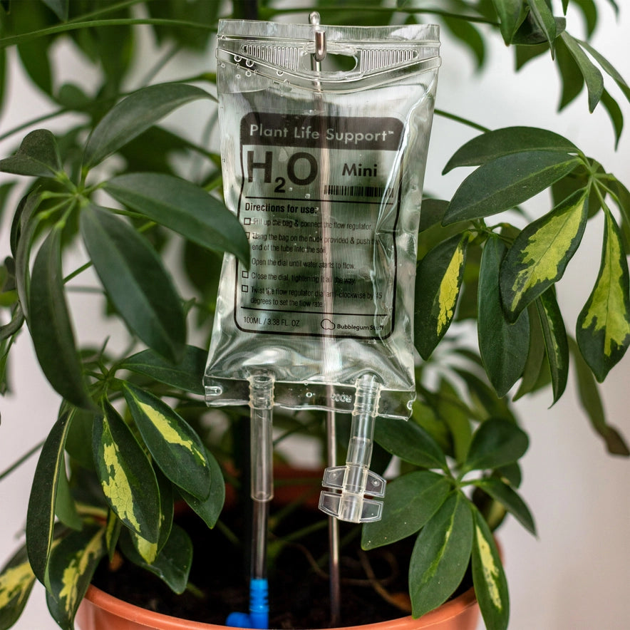 Plant Life Support IV Drip