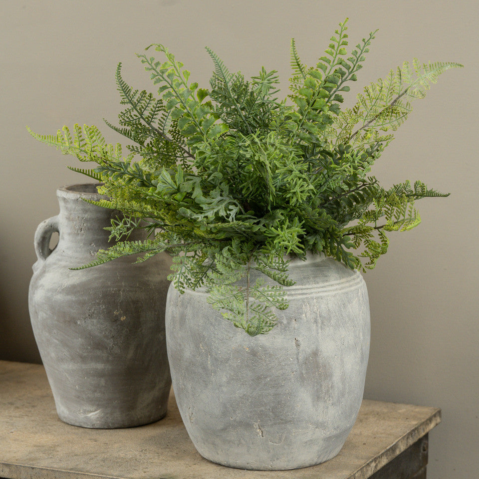 Mixed Fern Spray