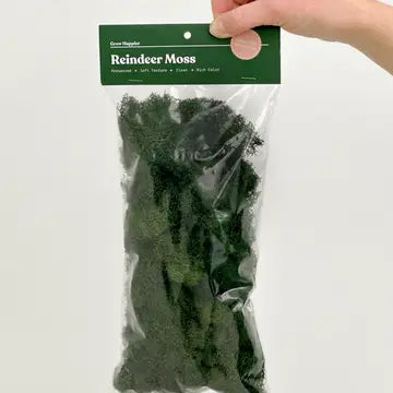 Preserved Reindeer Moss