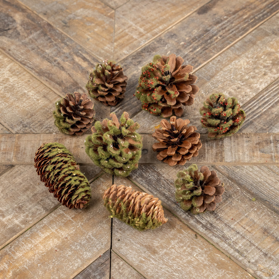 Sequined Moss Pinecones