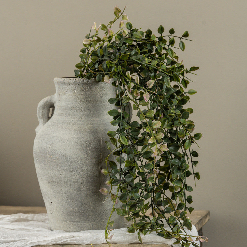 Draping Pea Leaf Bush