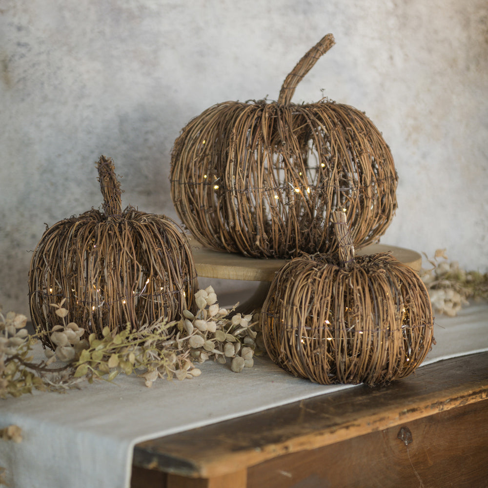 Lighted Autumn Pumpkin - 3 Sizes
