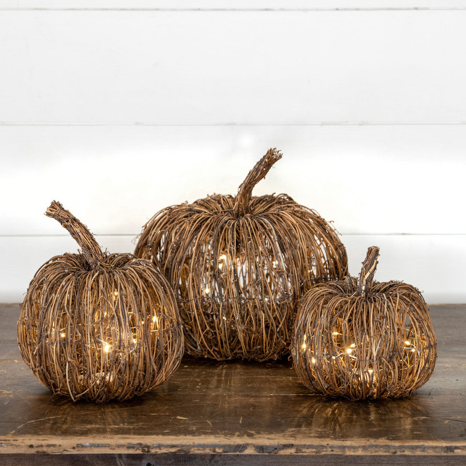 Lighted Autumn Pumpkin - 3 Sizes